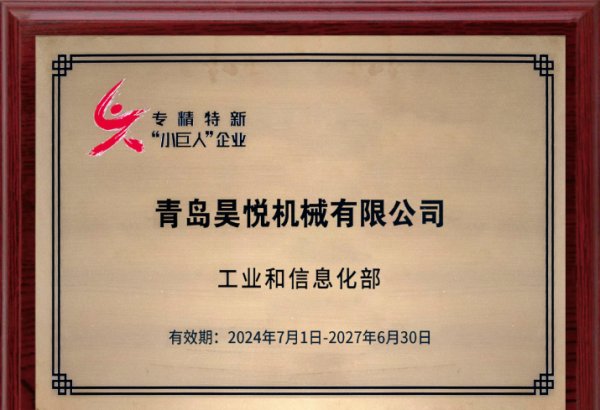 国家专精特新小巨人