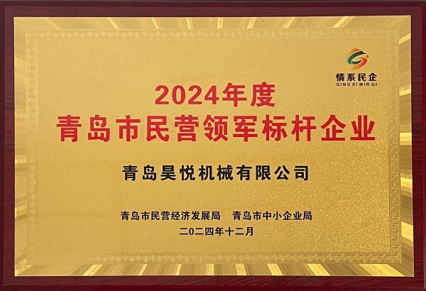 青岛市民营领军标杆企业